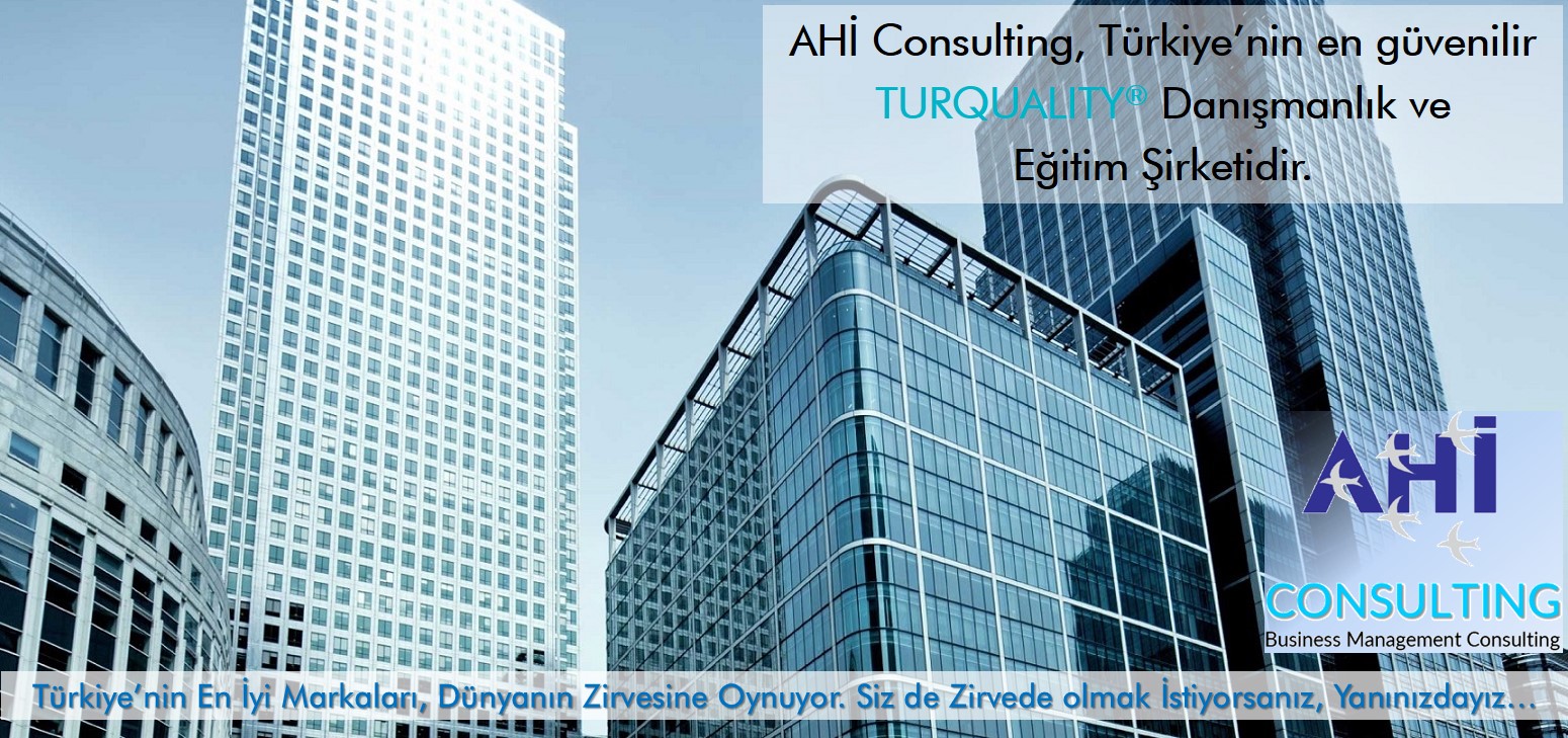 AHI CONSULTING 